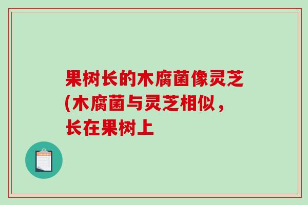 果树长的木腐菌像灵芝(木腐菌与灵芝相似，长在果树上