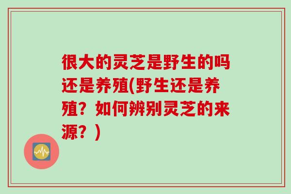 很大的灵芝是野生的吗还是养殖(野生还是养殖？如何辨别灵芝的来源？)