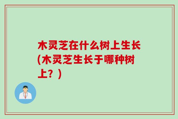木灵芝在什么树上生长(木灵芝生长于哪种树上？)