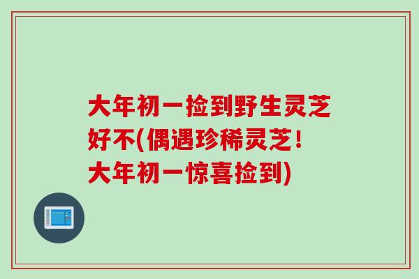 大年初一捡到野生灵芝好不(偶遇珍稀灵芝！大年初一惊喜捡到)