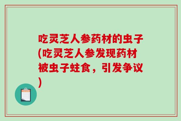 吃灵芝人参药材的虫子(吃灵芝人参发现药材被虫子蛀食，引发争议)