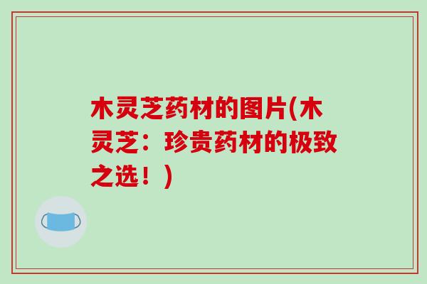 木灵芝药材的图片(木灵芝：珍贵药材的极致之选！)