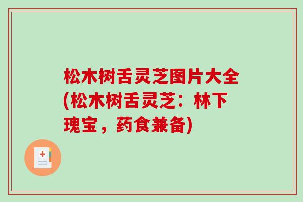 松木树舌灵芝图片大全(松木树舌灵芝：林下瑰宝，药食兼备)