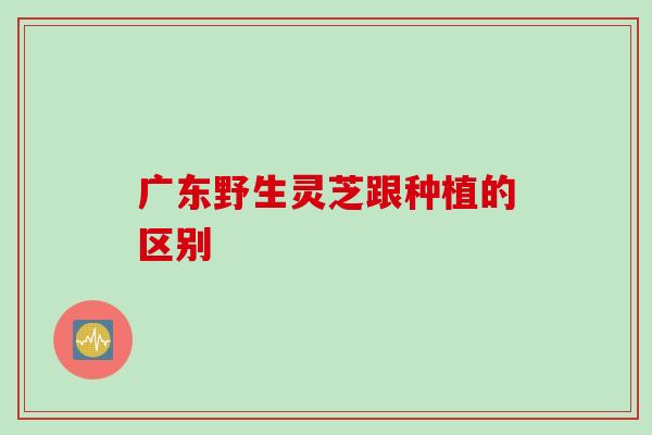 广东野生灵芝跟种植的区别