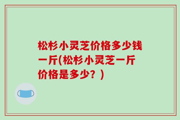 松杉小灵芝价格多少钱一斤(松杉小灵芝一斤价格是多少？)