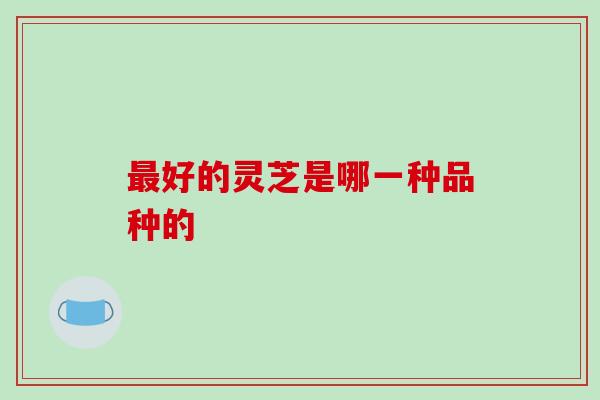 最好的灵芝是哪一种品种的