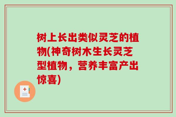 树上长出类似灵芝的植物(神奇树木生长灵芝型植物,营养丰富产出惊喜) 树上长出类似灵芝的植物(神奇树木生长灵芝型植物,营养丰富产出惊喜)