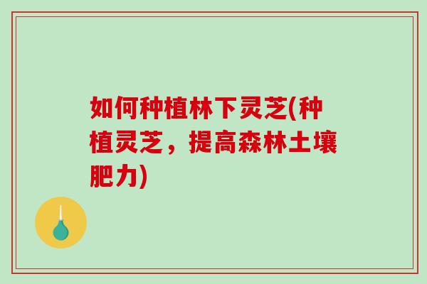 如何种植林下灵芝(种植灵芝，提高森林土壤肥力)