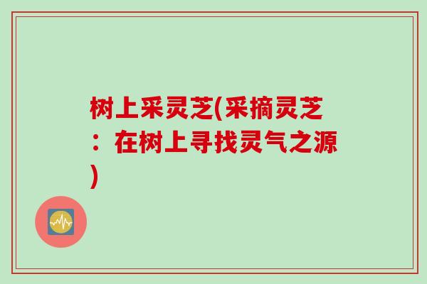 树上采灵芝(采摘灵芝：在树上寻找灵气之源)