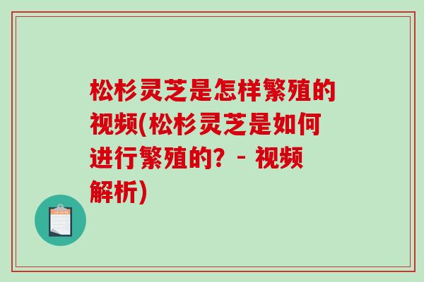 松杉灵芝是怎样繁殖的视频(松杉灵芝是如何进行繁殖的？- 视频解析)
