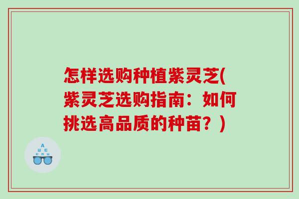 怎样选购种植紫灵芝(紫灵芝选购指南:如何挑选高品质的种苗?) 怎样选购种植紫灵芝(紫灵芝选购指南:如何挑选高品质的种苗?)