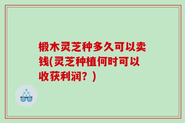 椴木灵芝种多久可以卖钱(灵芝种植何时可以收获利润？)
