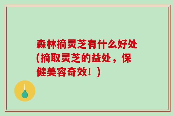 森林摘灵芝有什么好处(摘取灵芝的益处，保健美容奇效！)