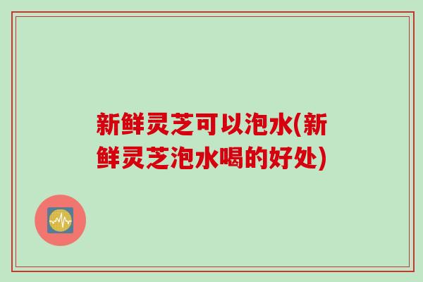 新鲜灵芝可以泡水(新鲜灵芝泡水喝的好处)