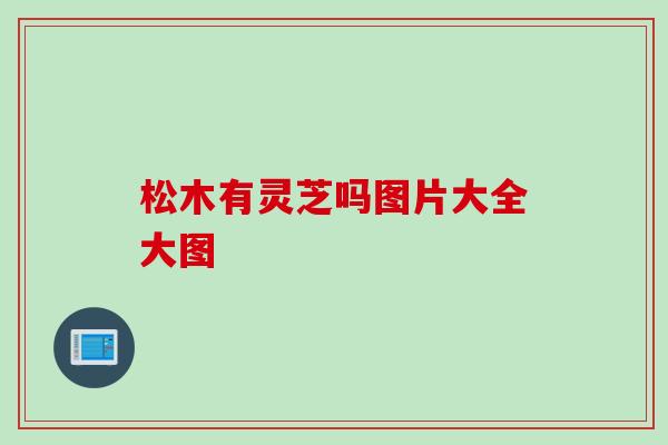 松木有灵芝吗图片大全大图
