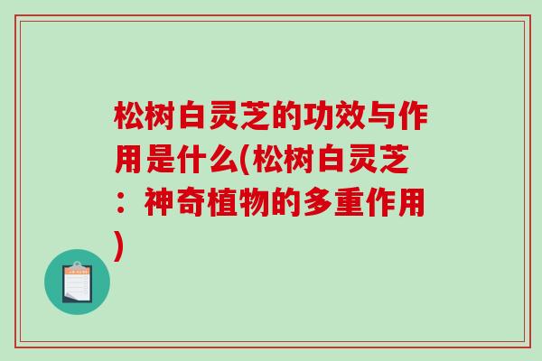 松树白灵芝的功效与作用是什么(松树白灵芝：神奇植物的多重作用)