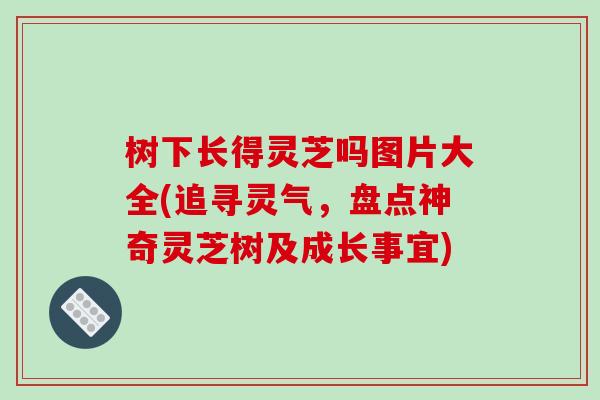 树下长得灵芝吗图片大全(追寻灵气，盘点神奇灵芝树及成长事宜)