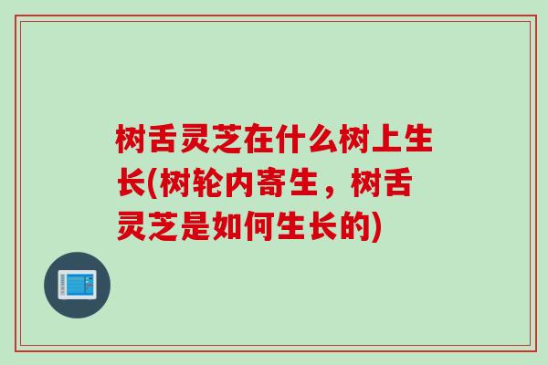 树舌灵芝在什么树上生长(树轮内寄生，树舌灵芝是如何生长的)