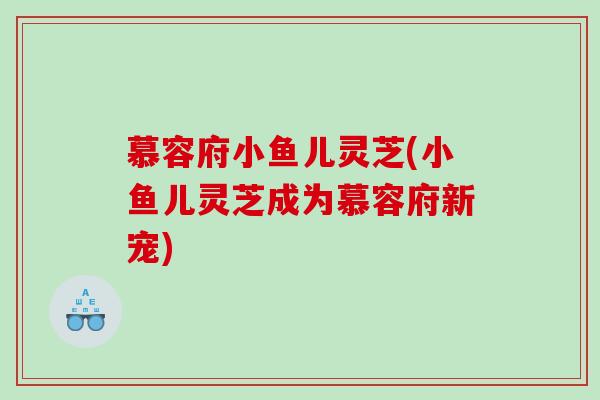 慕容府小鱼儿灵芝(小鱼儿灵芝成为慕容府新宠) 慕容府小鱼儿灵芝(小鱼儿灵芝成为慕容府新宠)