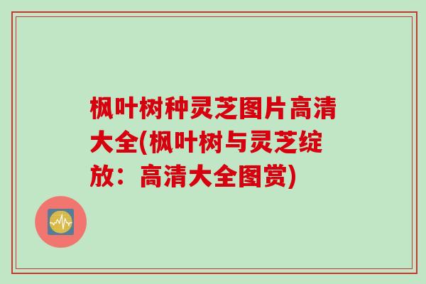 枫叶树种灵芝图片高清大全(枫叶树与灵芝绽放：高清大全图赏)
