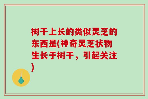 树干上长的类似灵芝的东西是(神奇灵芝状物生长于树干，引起关注)