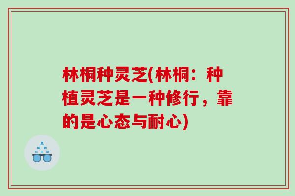 林桐种灵芝(林桐：种植灵芝是一种修行，靠的是心态与耐心)