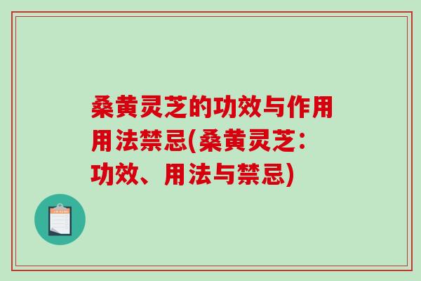桑黄灵芝的功效与作用用法禁忌(桑黄灵芝：功效、用法与禁忌)