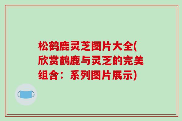松鹤鹿灵芝图片大全(欣赏鹤鹿与灵芝的完美组合：系列图片展示)