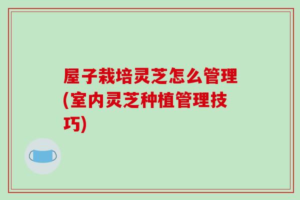 屋子栽培灵芝怎么管理(室内灵芝种植管理技巧)