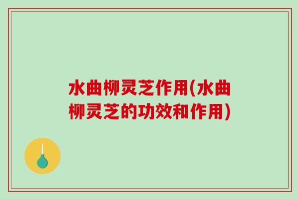 水曲柳灵芝作用(水曲柳灵芝的功效和作用)