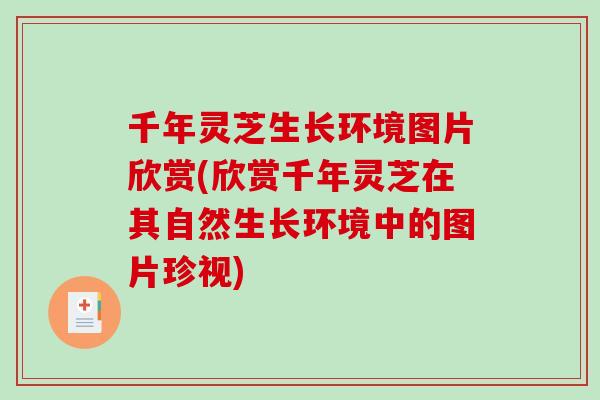 千年灵芝生长环境图片欣赏(欣赏千年灵芝在其自然生长环境中的图片珍视)