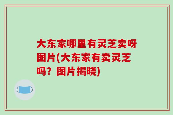 大东家哪里有灵芝卖呀图片(大东家有卖灵芝吗？图片揭晓)
