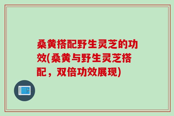 桑黄搭配野生灵芝的功效(桑黄与野生灵芝搭配，双倍功效展现)
