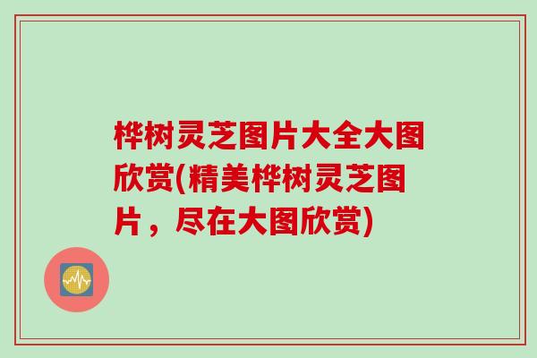 桦树灵芝图片大全大图欣赏(精美桦树灵芝图片，尽在大图欣赏)