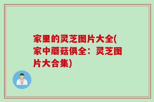 家里的灵芝图片大全(家中蘑菇俱全：灵芝图片大合集)
