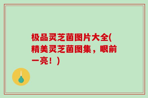 极品灵芝菌图片大全(精美灵芝菌图集，眼前一亮！)
