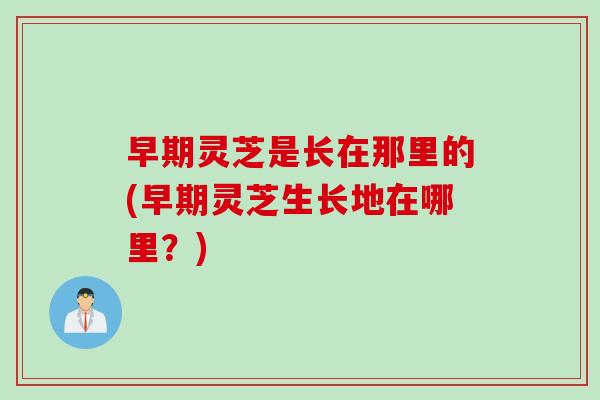 早期灵芝是长在那里的(早期灵芝生长地在哪里？)
