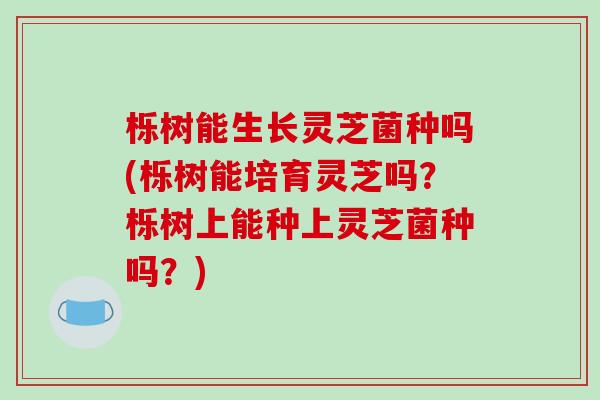 栎树能生长灵芝菌种吗(栎树能培育灵芝吗？栎树上能种上灵芝菌种吗？)