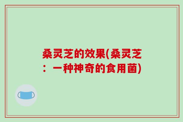 桑灵芝的效果(桑灵芝：一种神奇的食用菌)