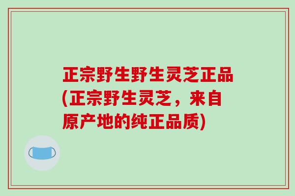 正宗野生野生灵芝正品(正宗野生灵芝，来自原产地的纯正品质)