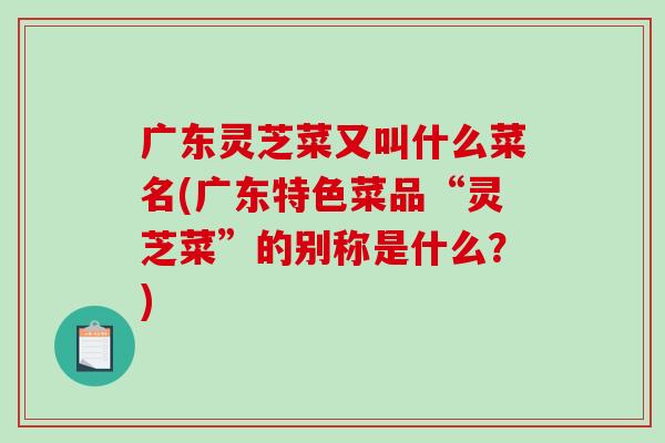 广东灵芝菜又叫什么菜名(广东特色菜品“灵芝菜”的别称是什么？)