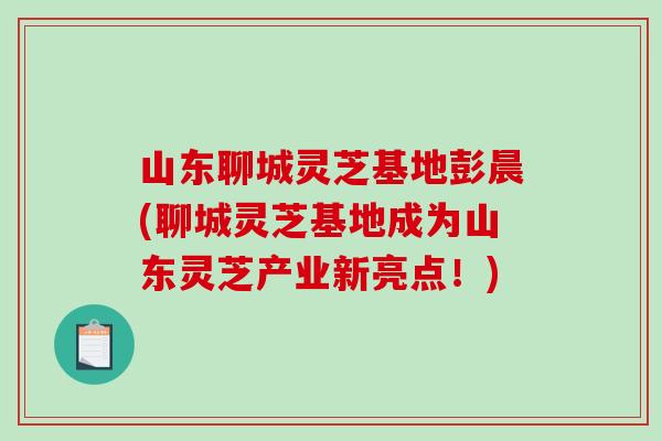 山东聊城灵芝基地彭晨(聊城灵芝基地成为山东灵芝产业新亮点！)