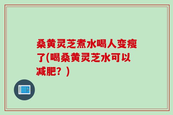 桑黄灵芝煮水喝人变瘦了(喝桑黄灵芝水可以减肥？)