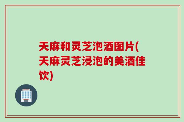 天麻和灵芝泡酒图片(天麻灵芝浸泡的美酒佳饮)