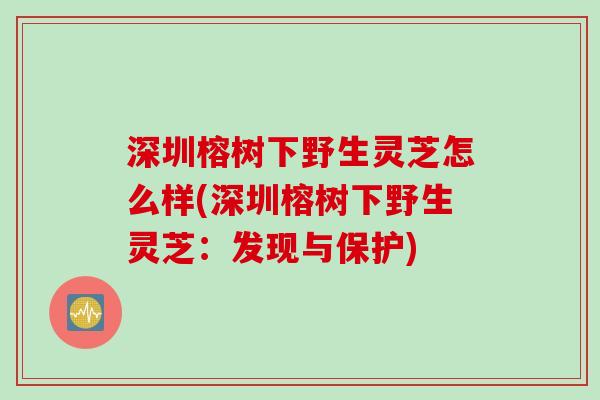 深圳榕树下野生灵芝怎么样(深圳榕树下野生灵芝：发现与保护)