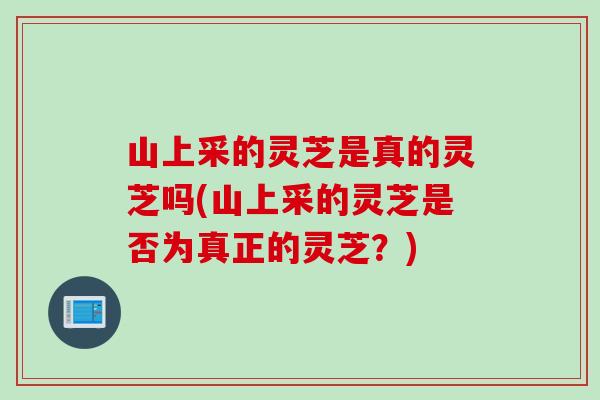 山上采的灵芝是真的灵芝吗(山上采的灵芝是否为真正的灵芝？)