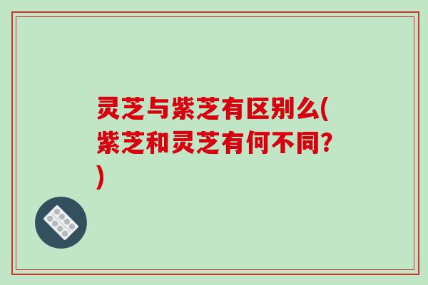灵芝与紫芝有区别么(紫芝和灵芝有何不同？)