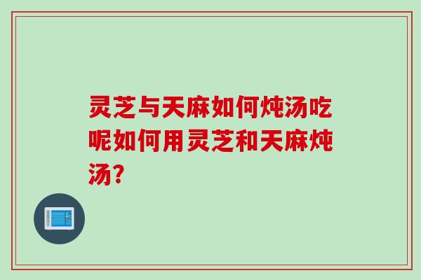 灵芝与天麻如何炖汤吃呢如何用灵芝和天麻炖汤？