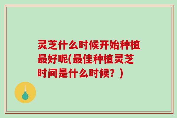 灵芝什么时候开始种植最好呢(最佳种植灵芝时间是什么时候？)