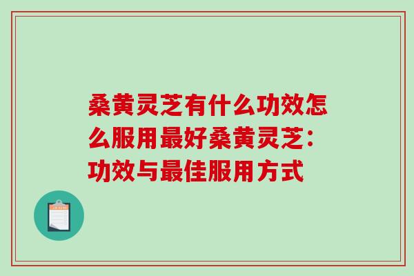 桑黄灵芝有什么功效怎么服用最好桑黄灵芝：功效与最佳服用方式